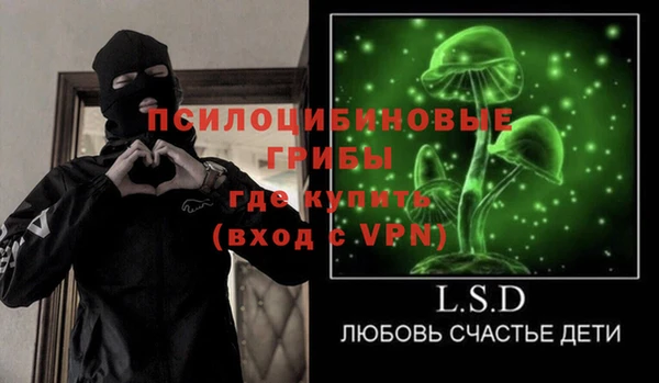 бошки Протвино